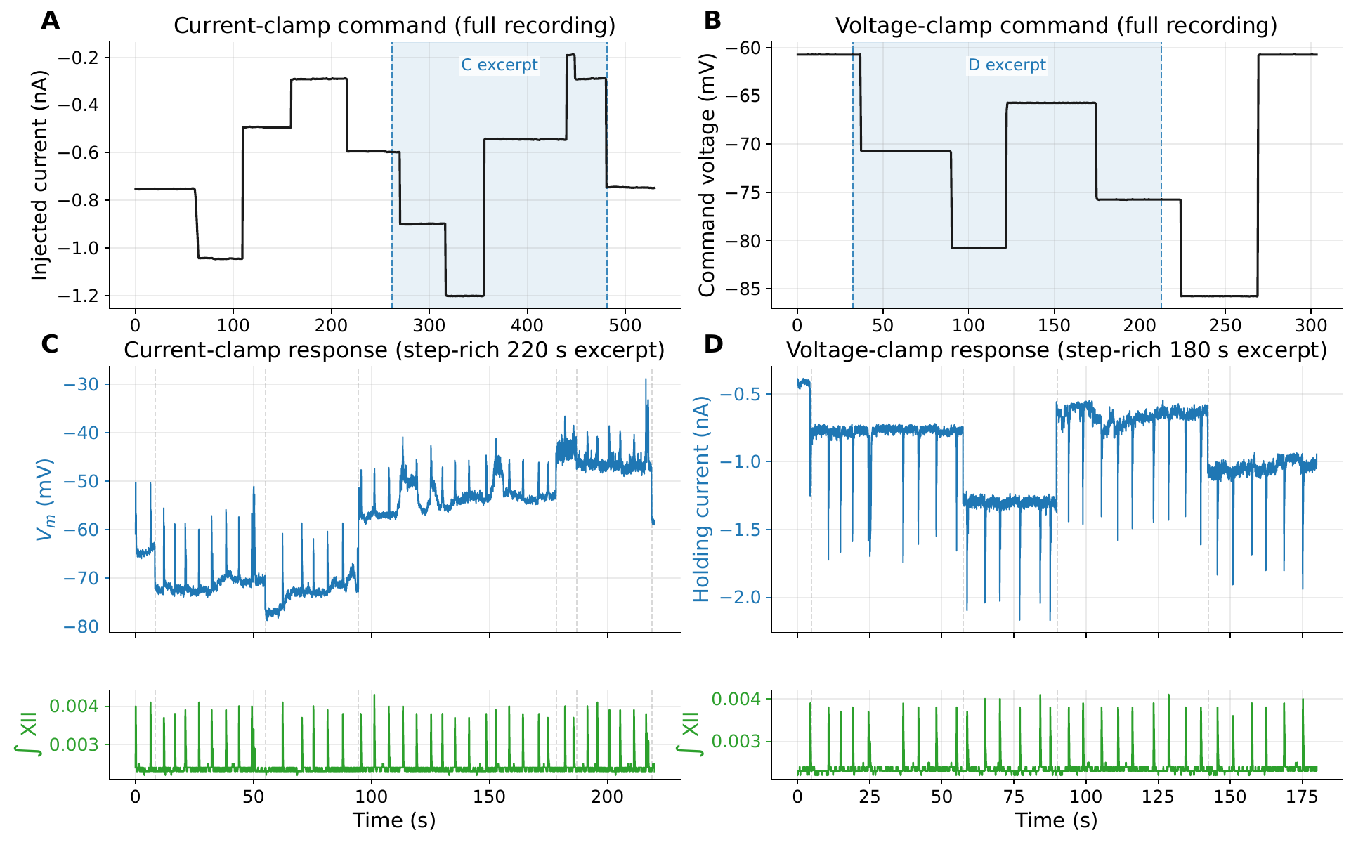 Representative current-clamp and voltage-clamp command steps aligned to a respiratory cycle reference.